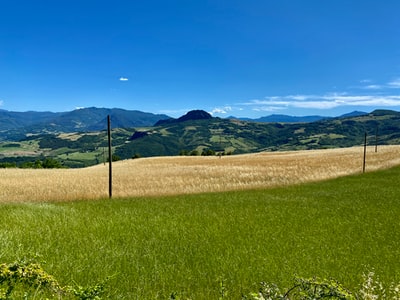 The blue sky, on the edge of the mountain grass field during the day
